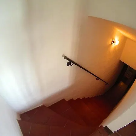 Nel Cuore Di